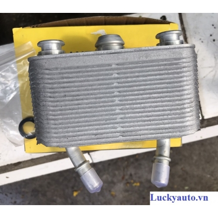 Két làm mát dầu máy BMW X5 E53- 17207500754